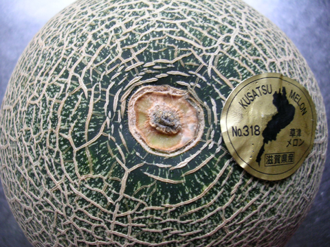 dscn5019.jpg