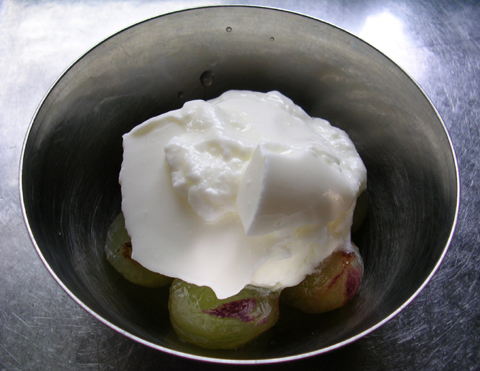 dscn5484.jpg