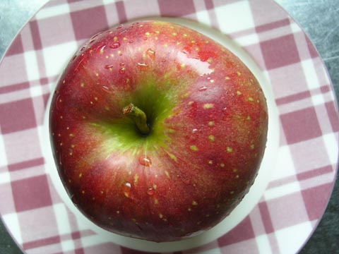 dscn6842.jpg