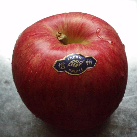 pa250039.jpg