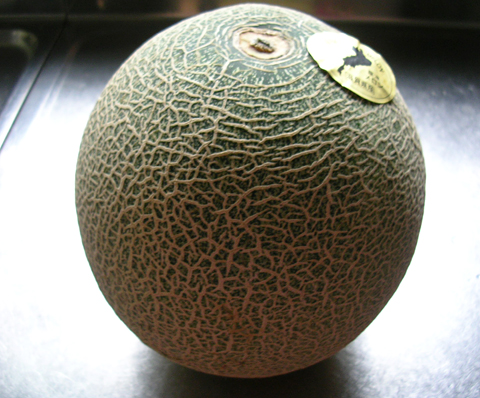 dscn5014.jpg