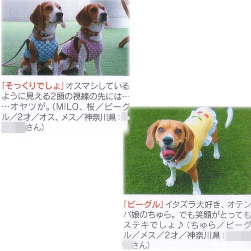 img20051229.jpg