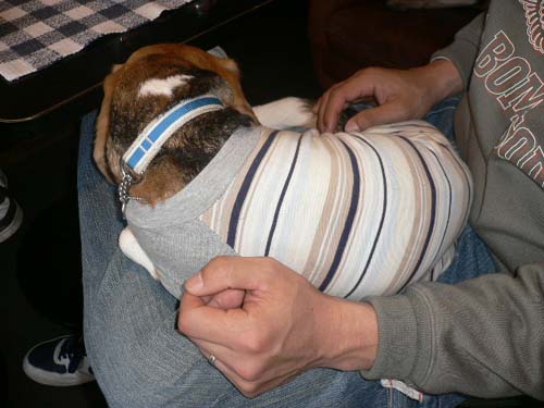 img20060326_5.jpg