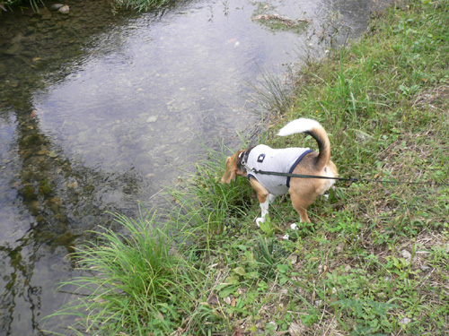 img20061029_1.jpg