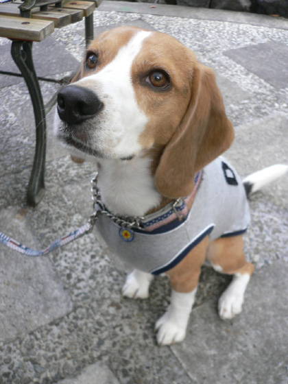 img20061030_1.jpg