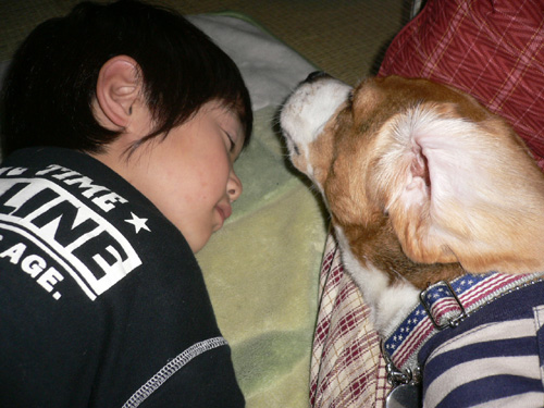 img20060528_4.jpg
