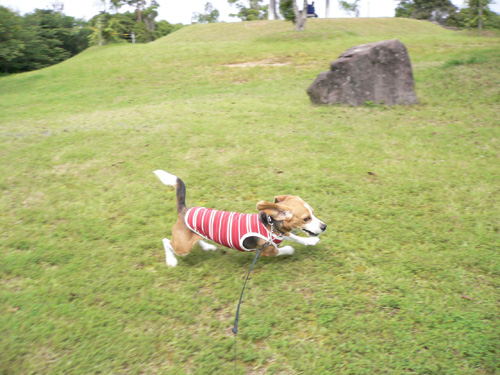img20060614.jpg