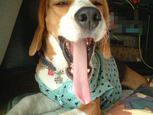 img20050303_2.jpg