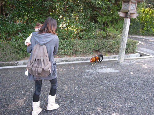 img20100112_3.jpg