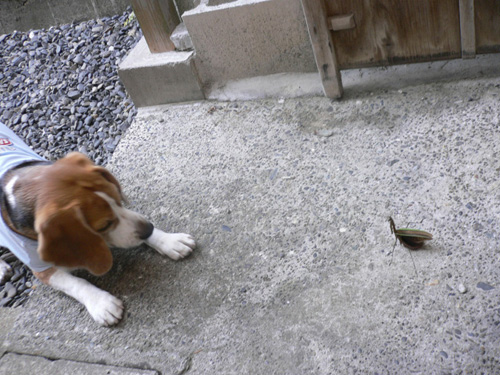 img20071117_2.jpg