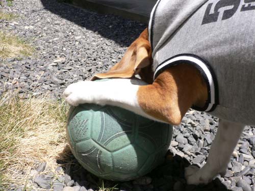 img20050427_1.jpg