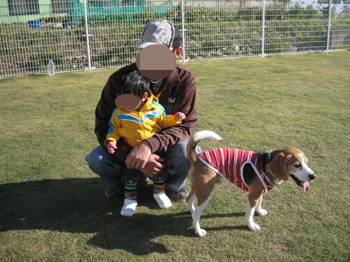 img20091106_5.jpg