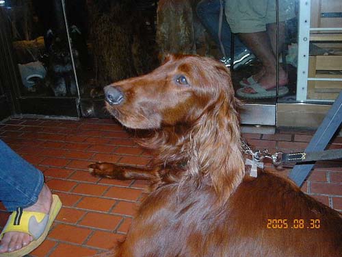 img20050831.jpg