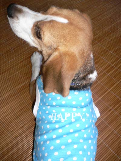 img20050826_2.jpg