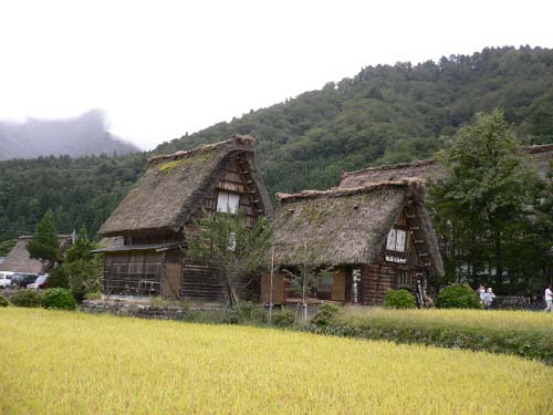 img20050925_2.jpg