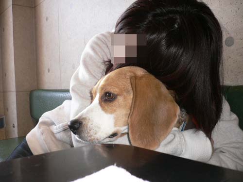 img20060326_2.jpg