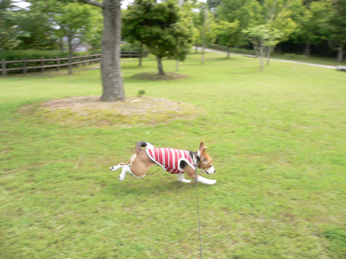 img20060614_1.jpg