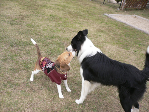 img20061126_3.jpg