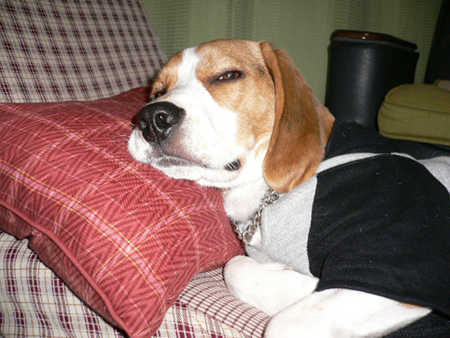 img20050323_3.jpg