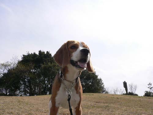 img20050326.jpg