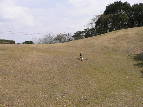 img20050326_3.jpg