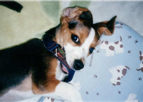 img20060529_3.jpg