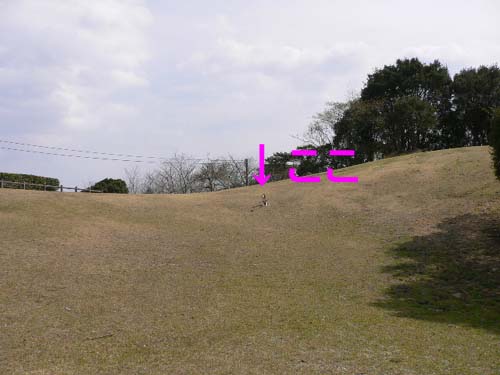 img20050326_2.jpg