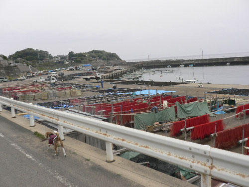 img20060429_2.jpg