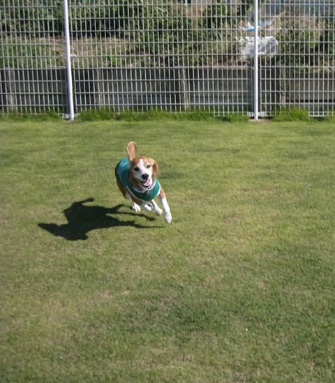 img20091106.jpg