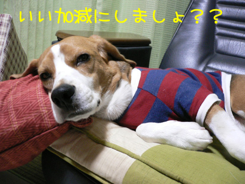 img20061208_3.jpg