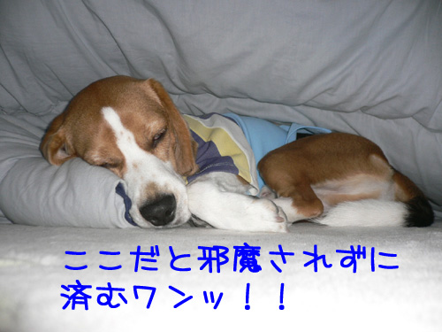 img20061124_3.jpg