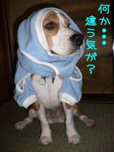 img20060220.jpg