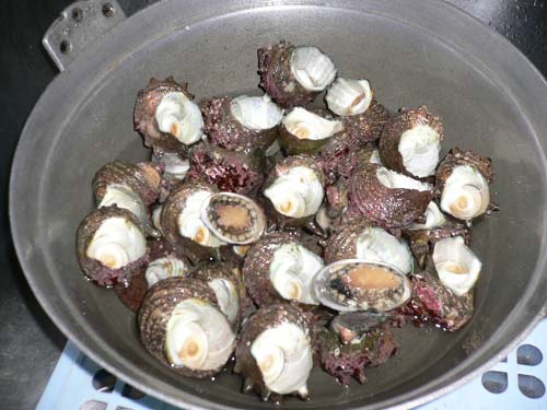 img20050328.jpg