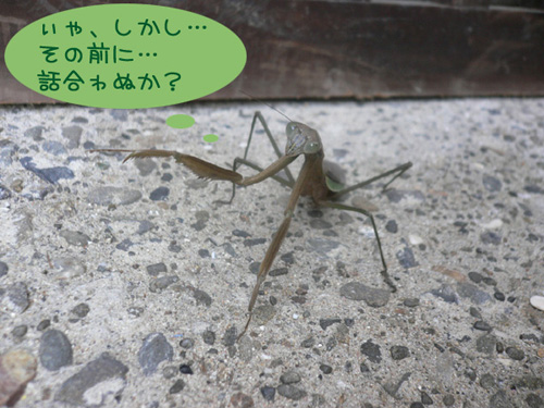 img20071117_4.jpg