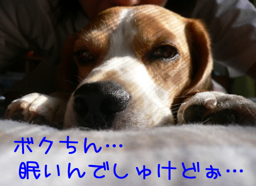 img20060830_2.jpg