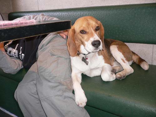 img20050425_2.jpg