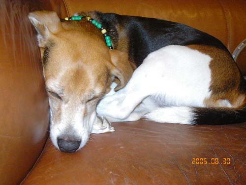 img20050831_1.jpg