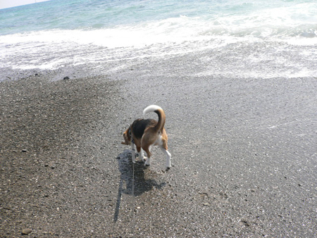 img20050324_1.jpg