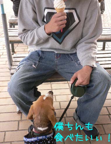img20060225_3.jpg