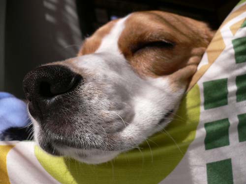 img20051028_1.jpg