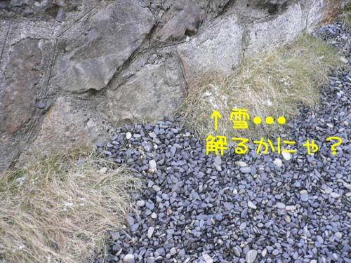 img20060123_3.jpg