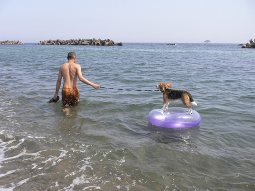 img20060730_4.jpg