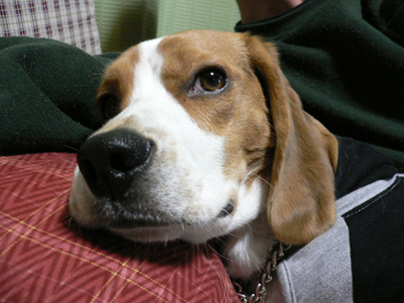 img20050323_2.jpg