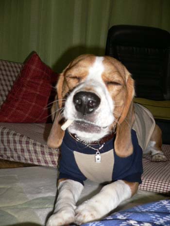 img20050226_1.jpg