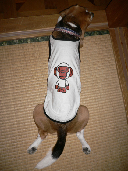 img20060624_2.jpg