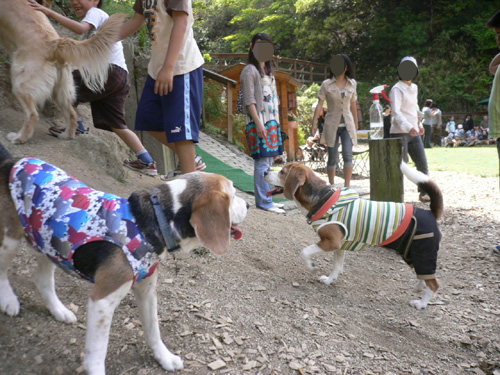 img20080505_2.jpg