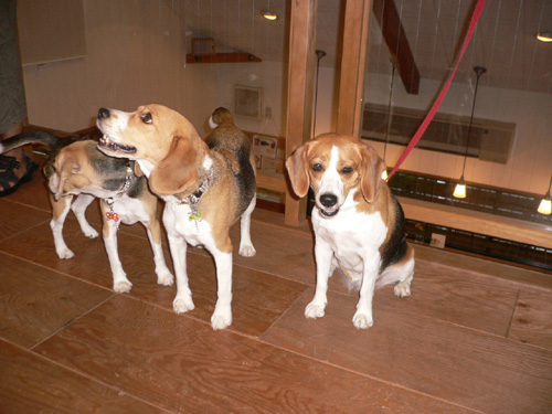 img20060828_6.jpg