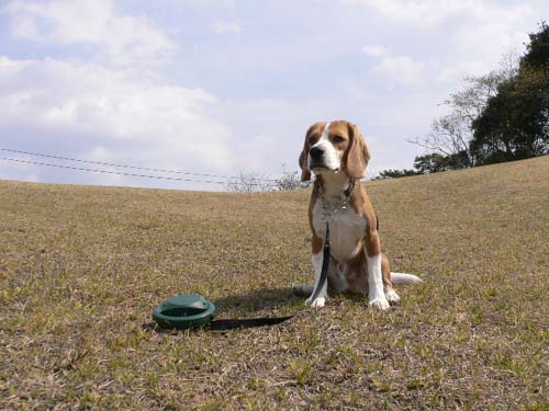 img20050326_1.jpg