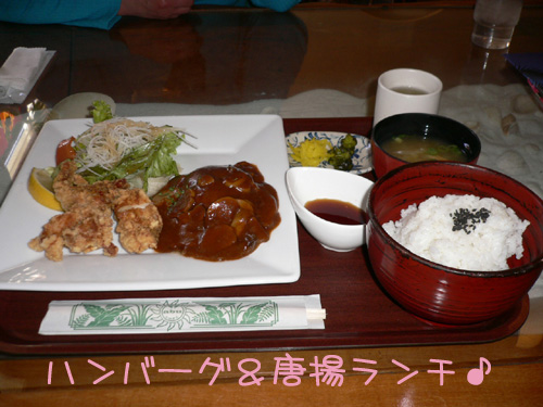 img20070203.jpg
