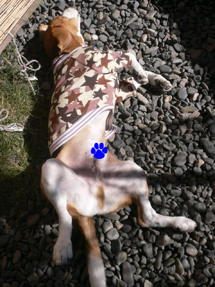 img20061128_1.jpg